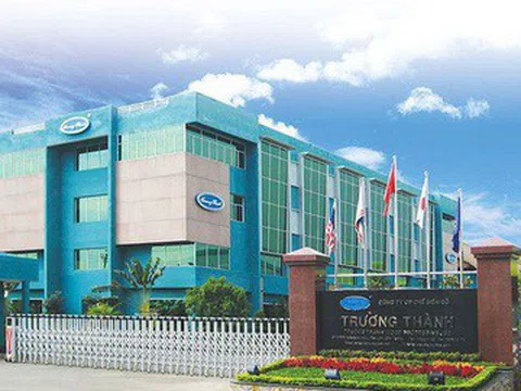 Gỗ Trường Thành (TTF): Trong quý III/2020 nhờ khoản ghi nhận của ông Võ Trường Thành nên lợi nhuận lãi 9,1 tỷ đồng